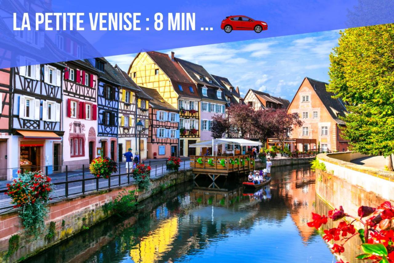 Appartement Le Blue St Léon : 2 pièces COZY Lit King Size WIFI à Colmar Extérieur photo