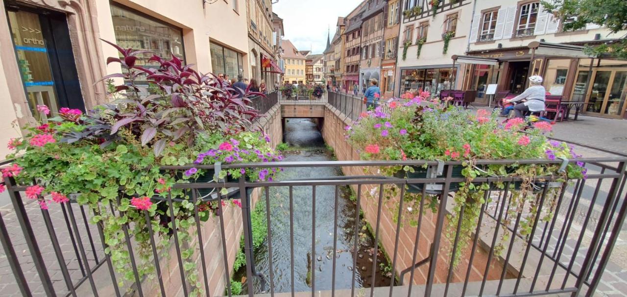 Appartement Le Blue St Léon : 2 pièces COZY Lit King Size WIFI à Colmar Extérieur photo